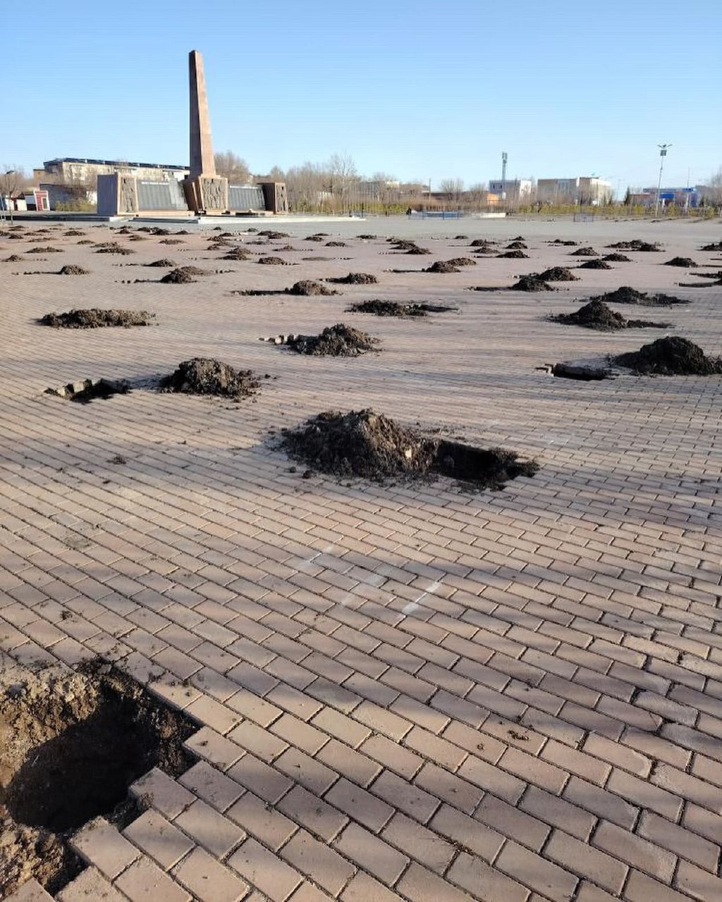 Способ посадки деревьев на площади в парке удивил жителей Абая