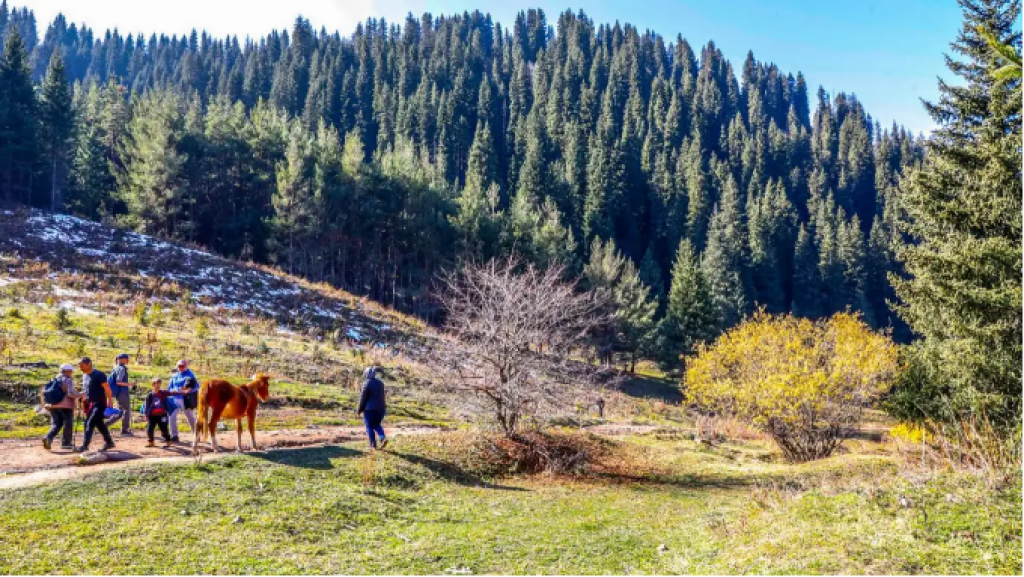 61 млрд тенге заплатили туристы за проживание в Казахстане