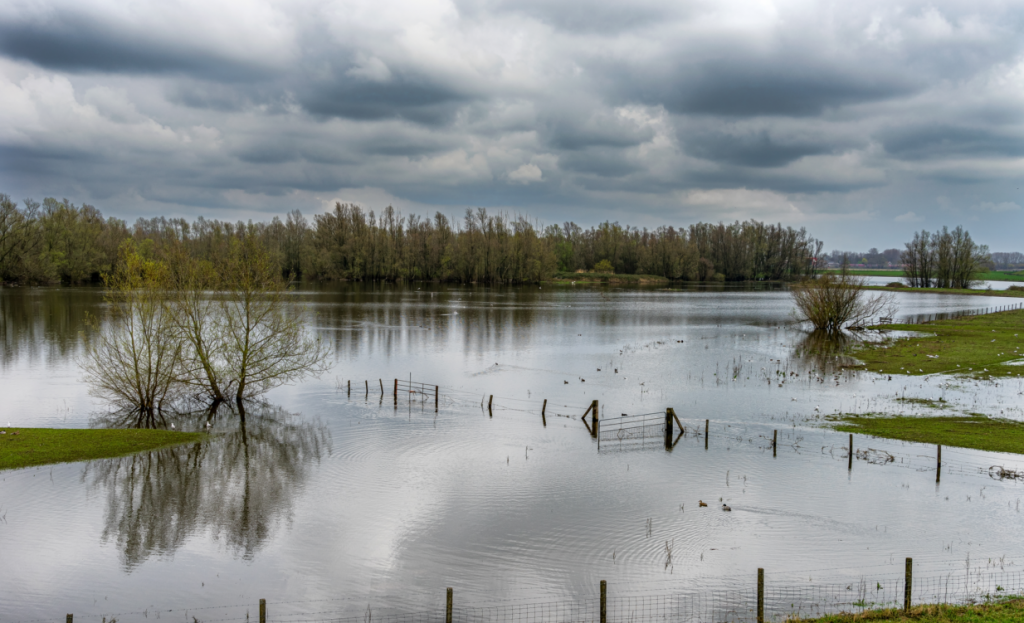 Паводки близко, чем поможет Direct to Cell от Starlink?