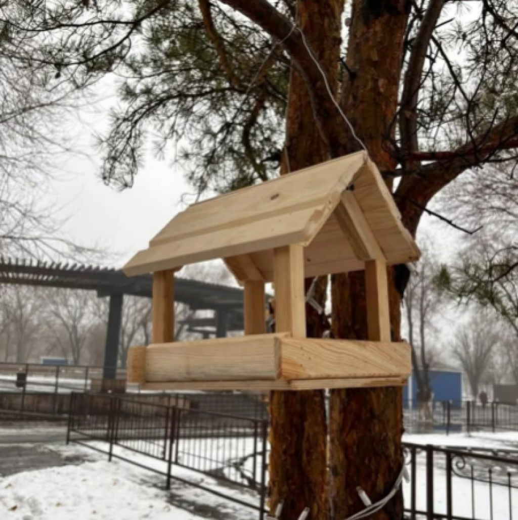 В Караганде запустили акцию по поддержке зимующих птиц