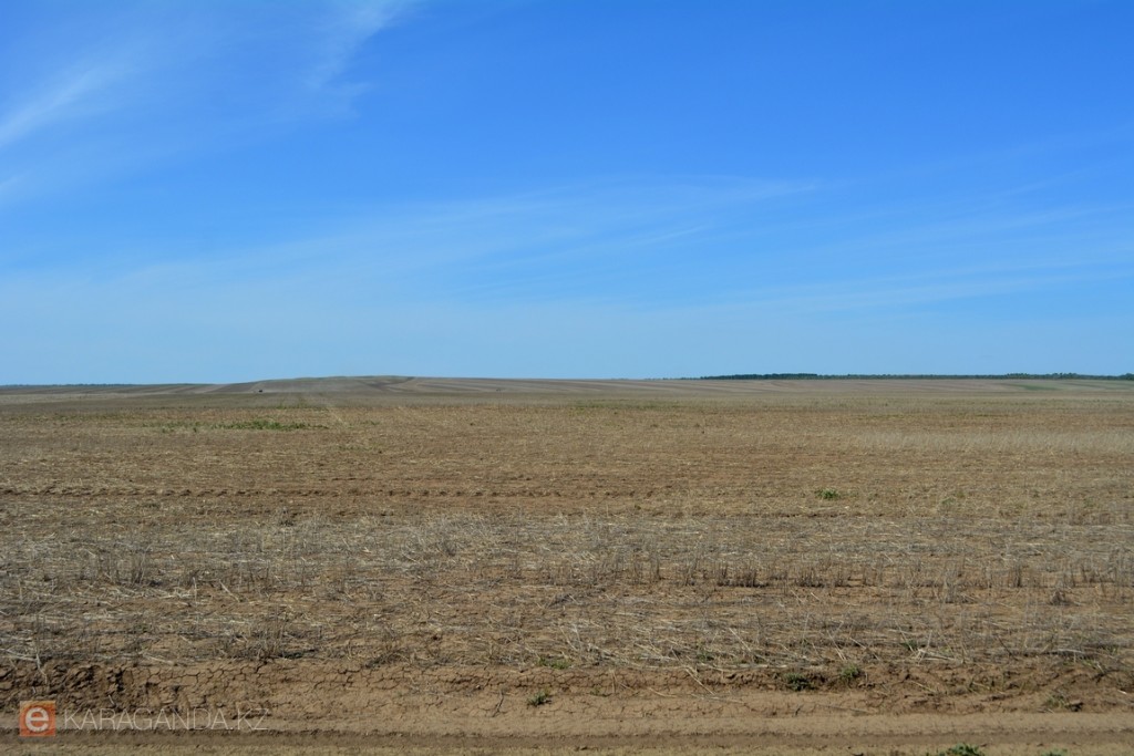 В Казахстане вернули миллионы гектаров неиспользуемых земель