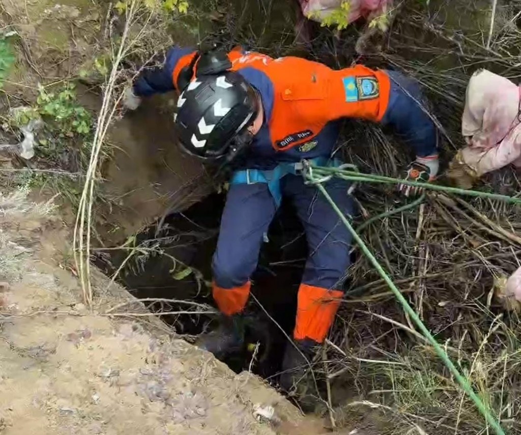 Две спасенные жизни: в Карагандинской области пришли на помощь хвостатым