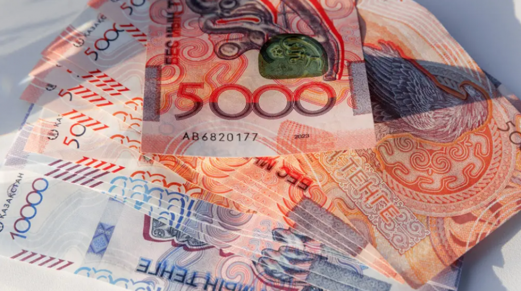 «Более 208 тысяч тенге». Как получить специальную социальную выплату, рассказали в Минтруда