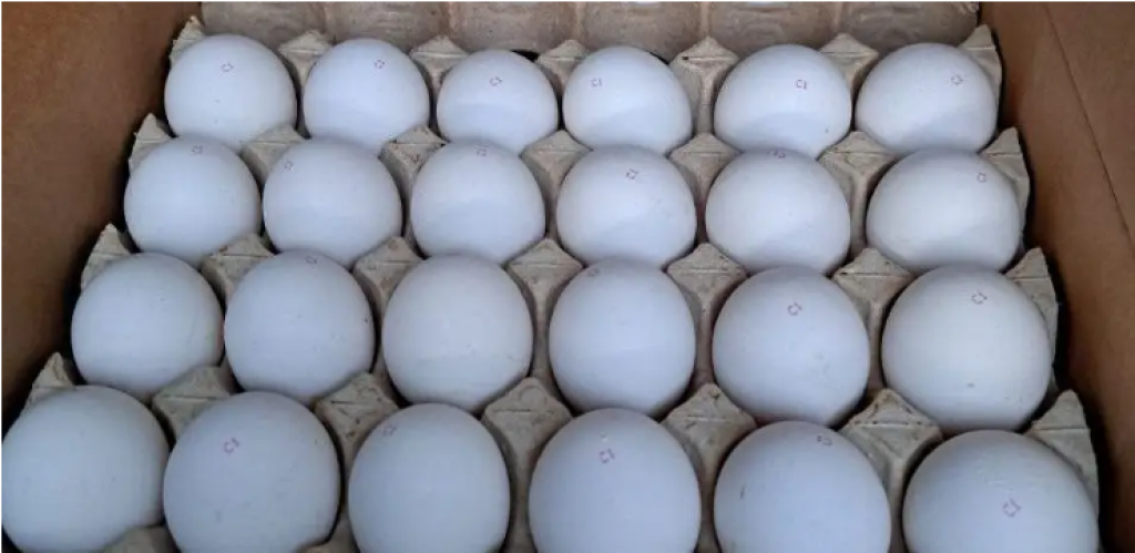Запретить ввоз яиц на полгода планируют в Казахстане