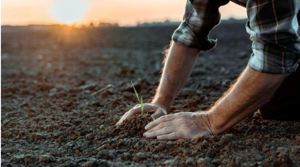 Почти пять тысяч казахстанцев приняли участие в первый день сельхозпереписи