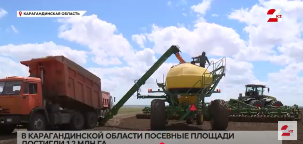 Посевные площади в Карагандинской области достигли 1,2 млн га