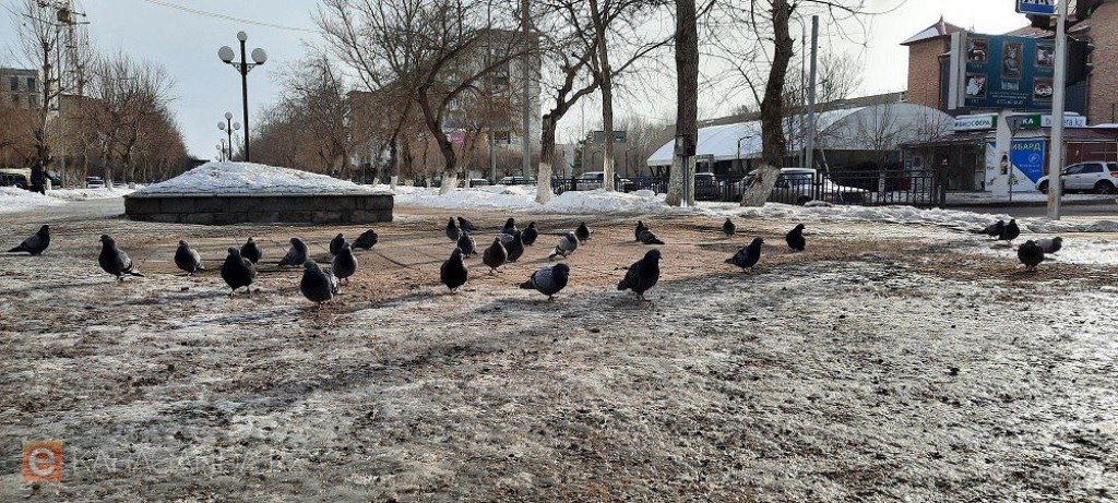 От -8°C до +11°C: первые дни зимы в Казахстане обещают быть непредсказуемыми