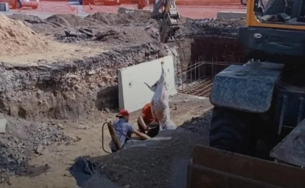 Ксения Бородинаның секс фотосуреттері Трамдағы отбасылық секс