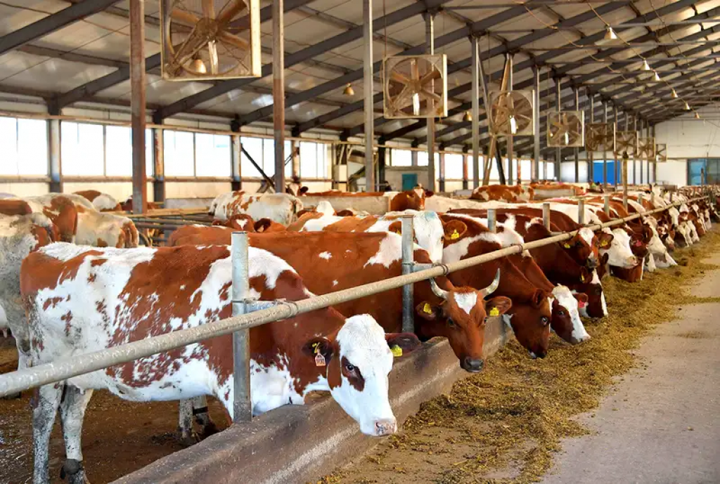 Глава МСХ дал прогноз по джуту в Казахстане