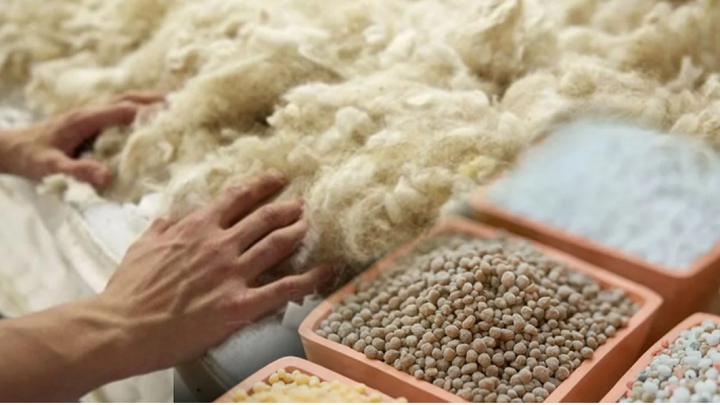 Овечья шерсть — в почву: в Казахстане тестируют новое органическое удобрение