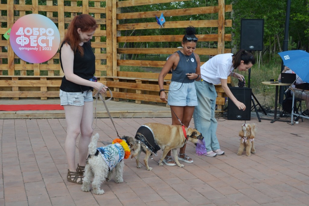 Красиво, по-доброму, модно – в Караганде прошел ДоброФест. Фоторепортаж