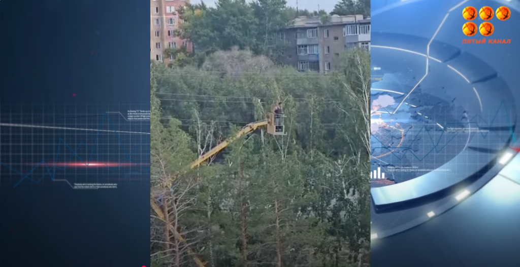 В Темиртау жители заступились за березы. Их обрезали уполовинив