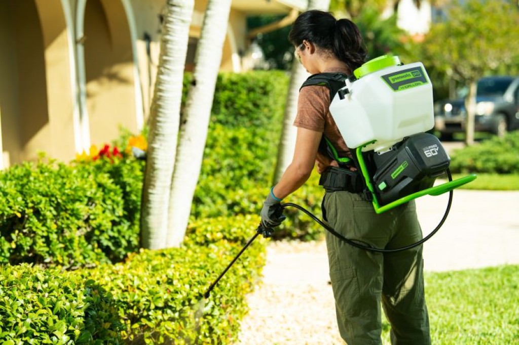 Порно қара нәсілділер