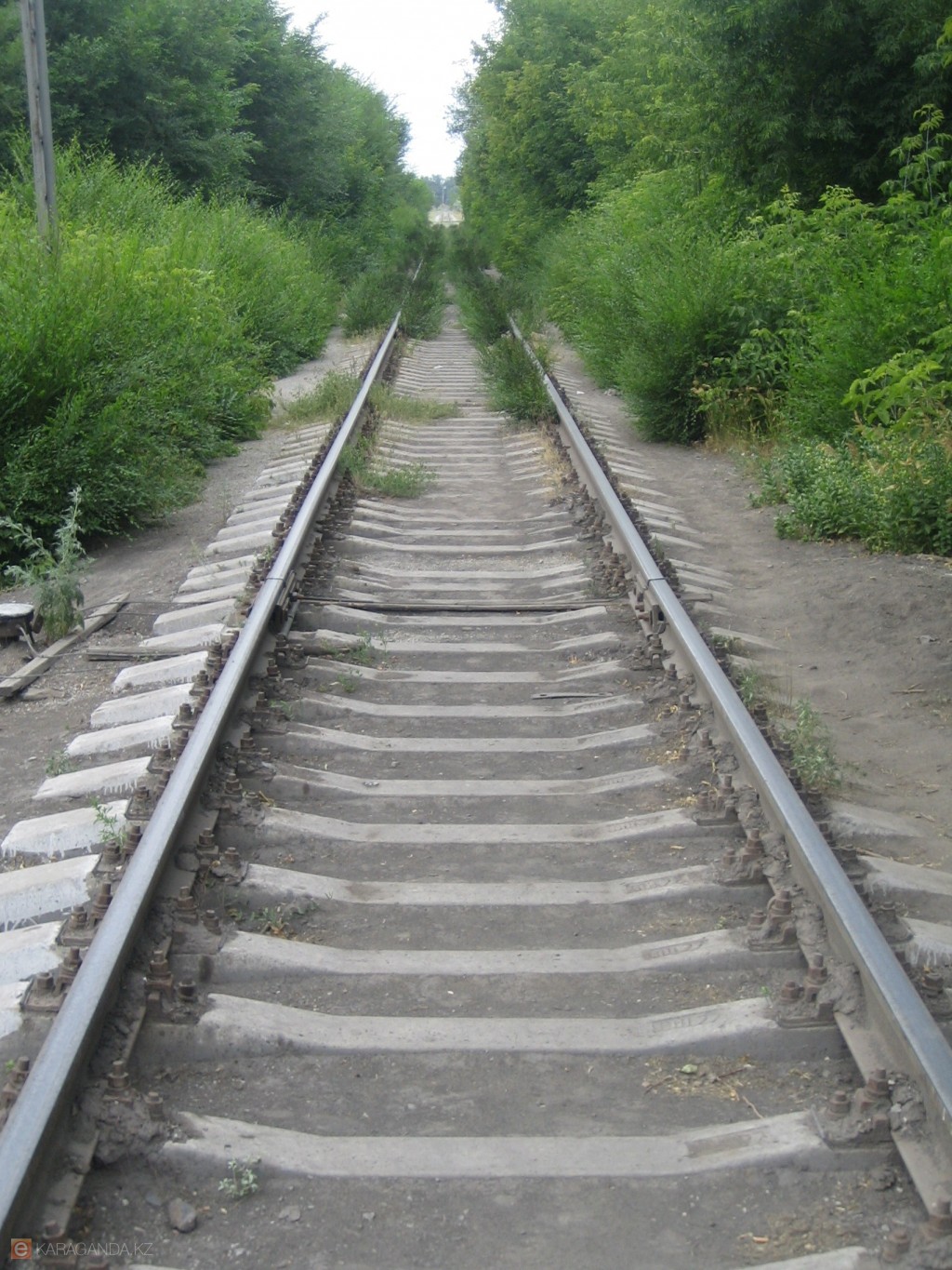 Летом 2026 года в Казахстане запустят дополнительные поезда