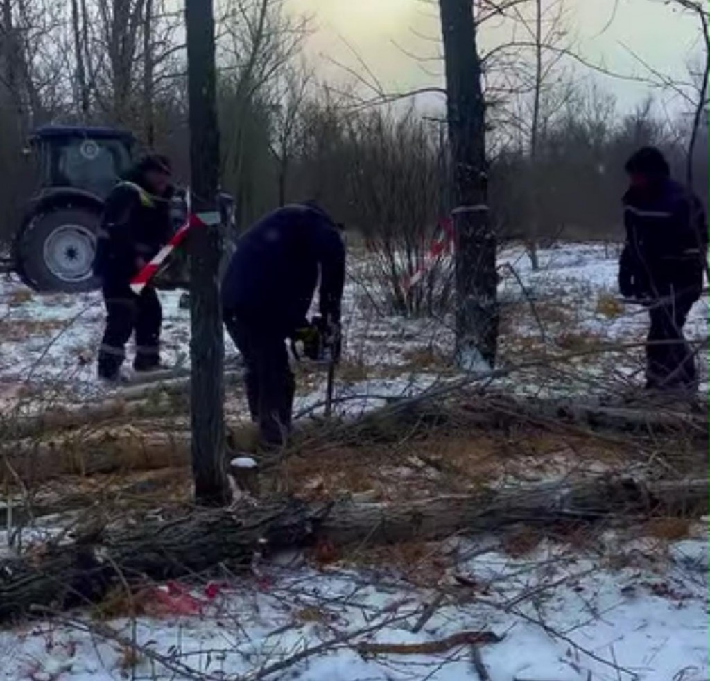 В Центральном парке Караганды начали масштабное обновление зеленых насаждений