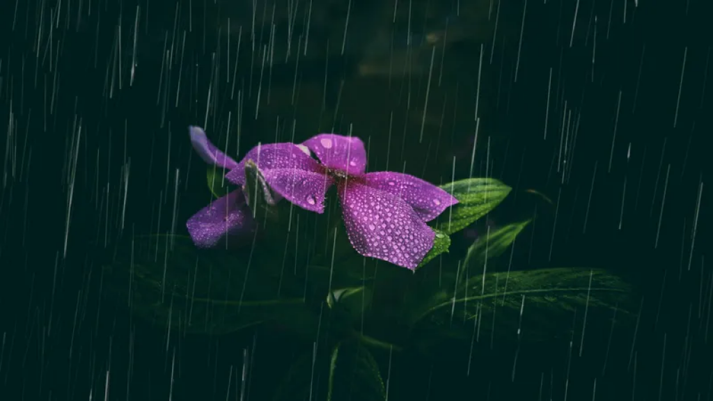 Ливни с грозами, град и сильная жара до +42°C накроют Казахстан