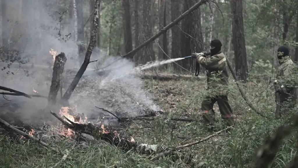 Орман өрттерін сөндіруді мемлекеттік орман күзеті қызметкерлеріне үйретеді: ережелер бекітілді