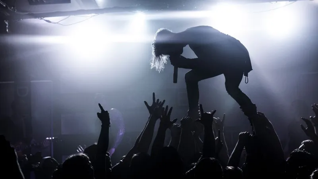 Запретить использование фонограммы на концертах предлагает депутат