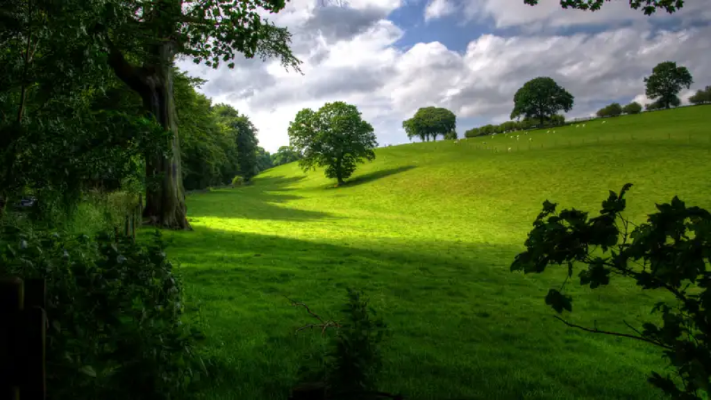 Жара до 40 градусов и грозы: погода в Казахстане на 6-8 июня