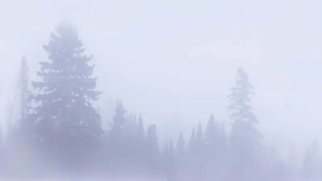 Туман, метель, гололед: прогноз погоды в Казахстане на 24 января