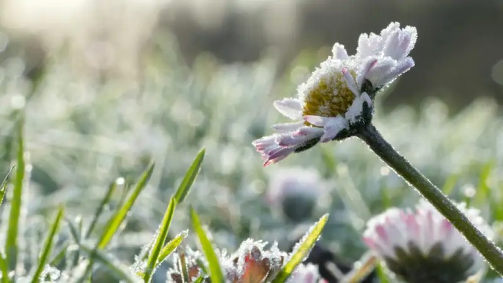 Морозы и сильные осадки вновь вернутся в Казахстан