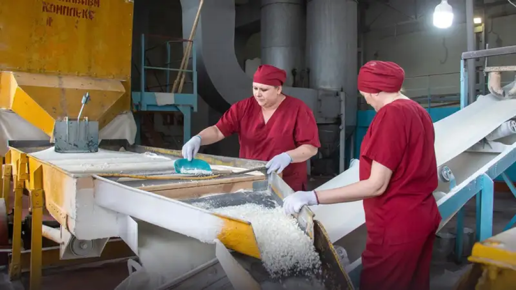 Неліктен Қазақстандағы қант зауыттары қызылша дақылын өңдей алмады