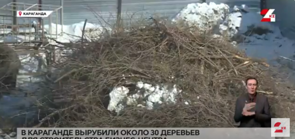 Около 30 деревьев вырубили для строительства бизнес-центра в Караганде
