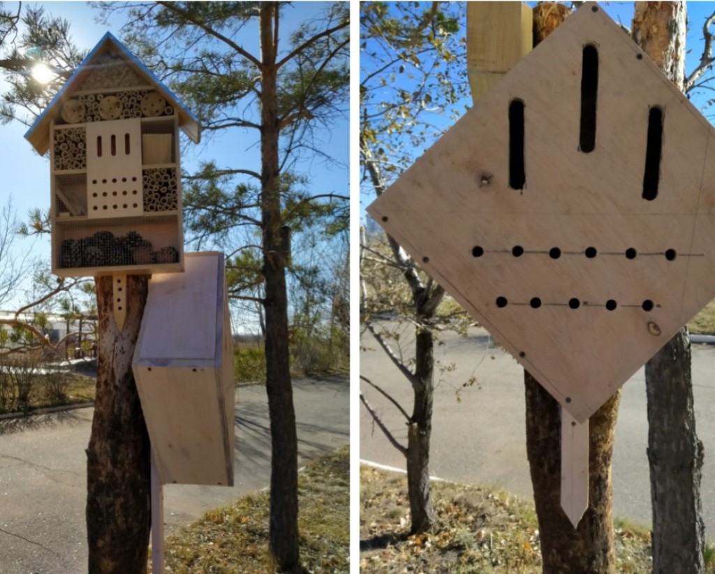 Карагандинский университет Букетова  создаёт «домики» для насекомых