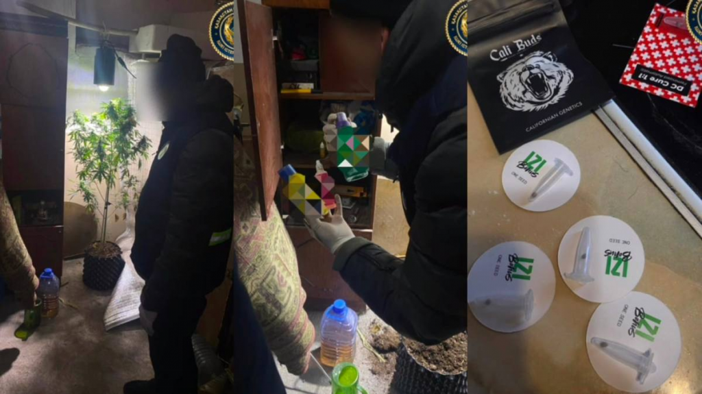 Фитолаборатория Қарағанды облысының тұрғынының сарайынан табылды