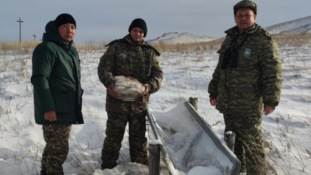 Егери национального природного парка «Буйратау» в зимнее время подкармливают животных