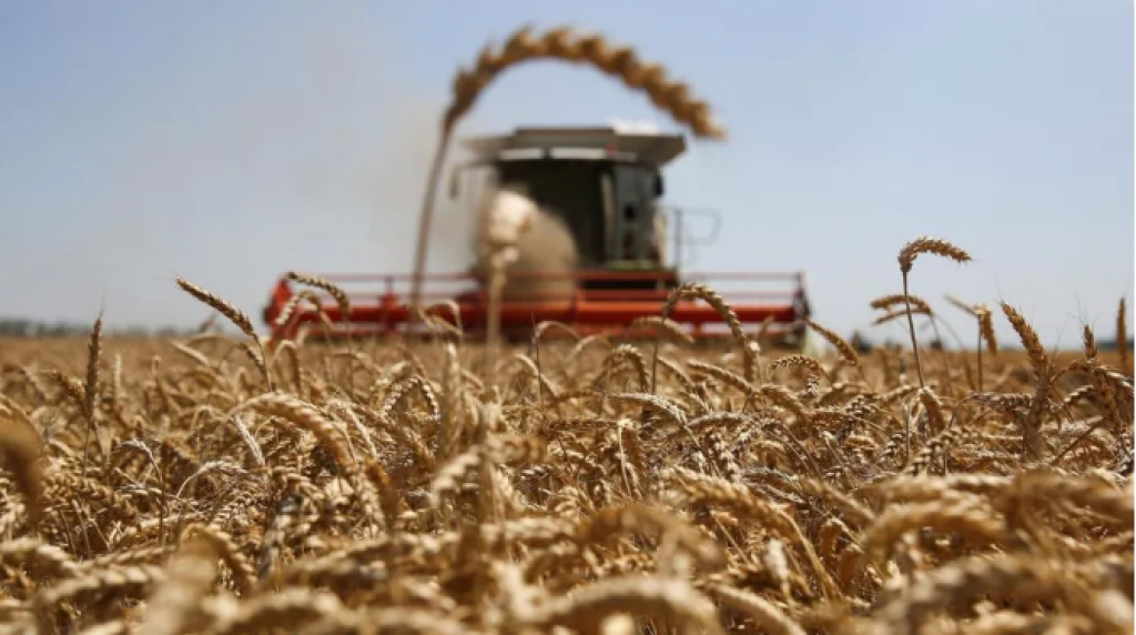 Планируется повысить уровень господдержки сельского хозяйства в Казахстане