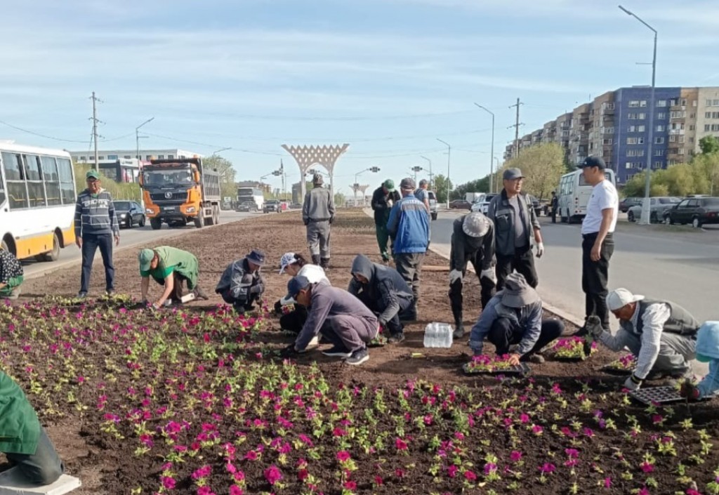 В Караганде недавно высаженные, но уже погибшие цветы меняют на новые
