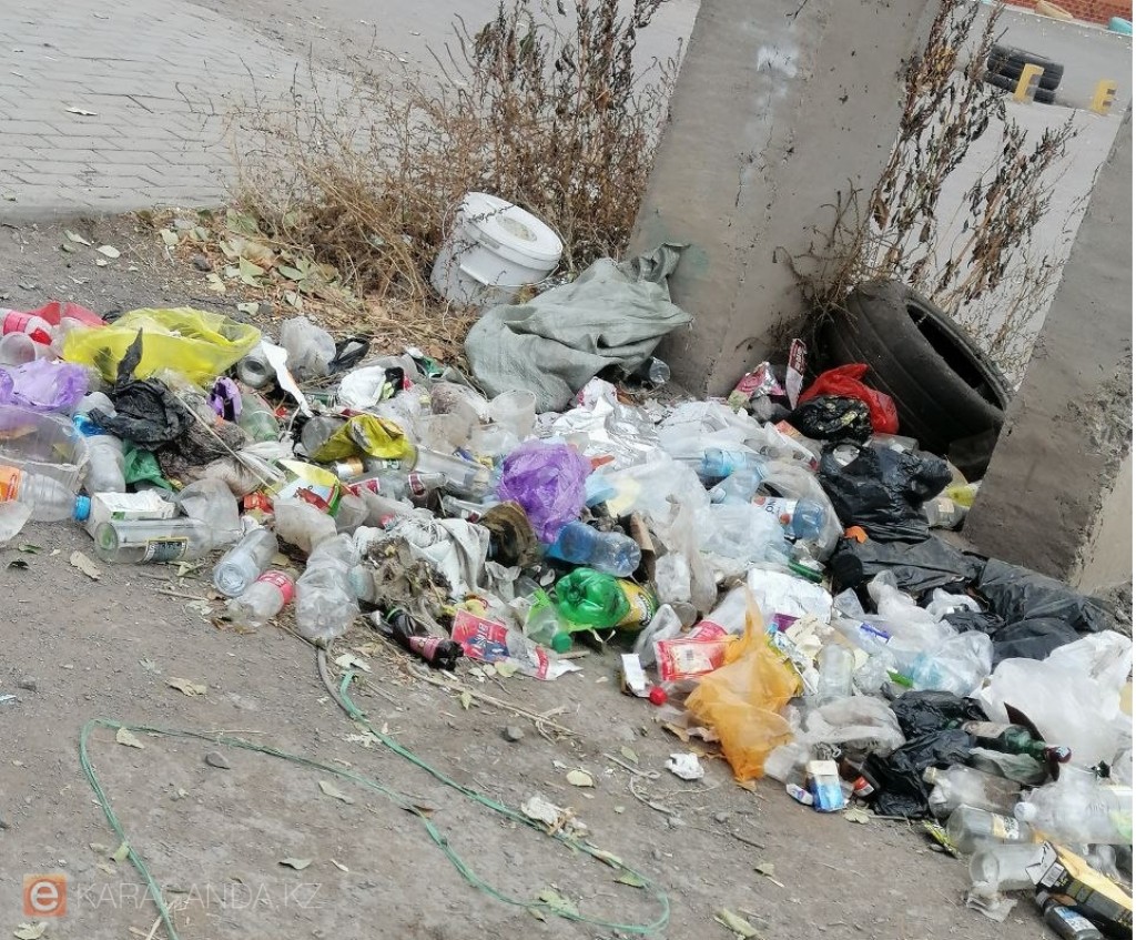 Названы регионы с наибольшим количеством несанкционированных мусорных свалок