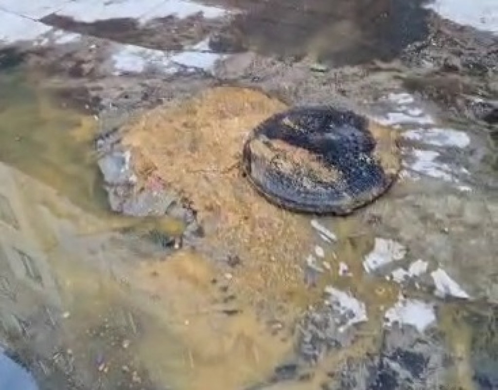 Трупы двух кошек обнаружила бригада рабочих в канализации одной из многоэтажек Караганды