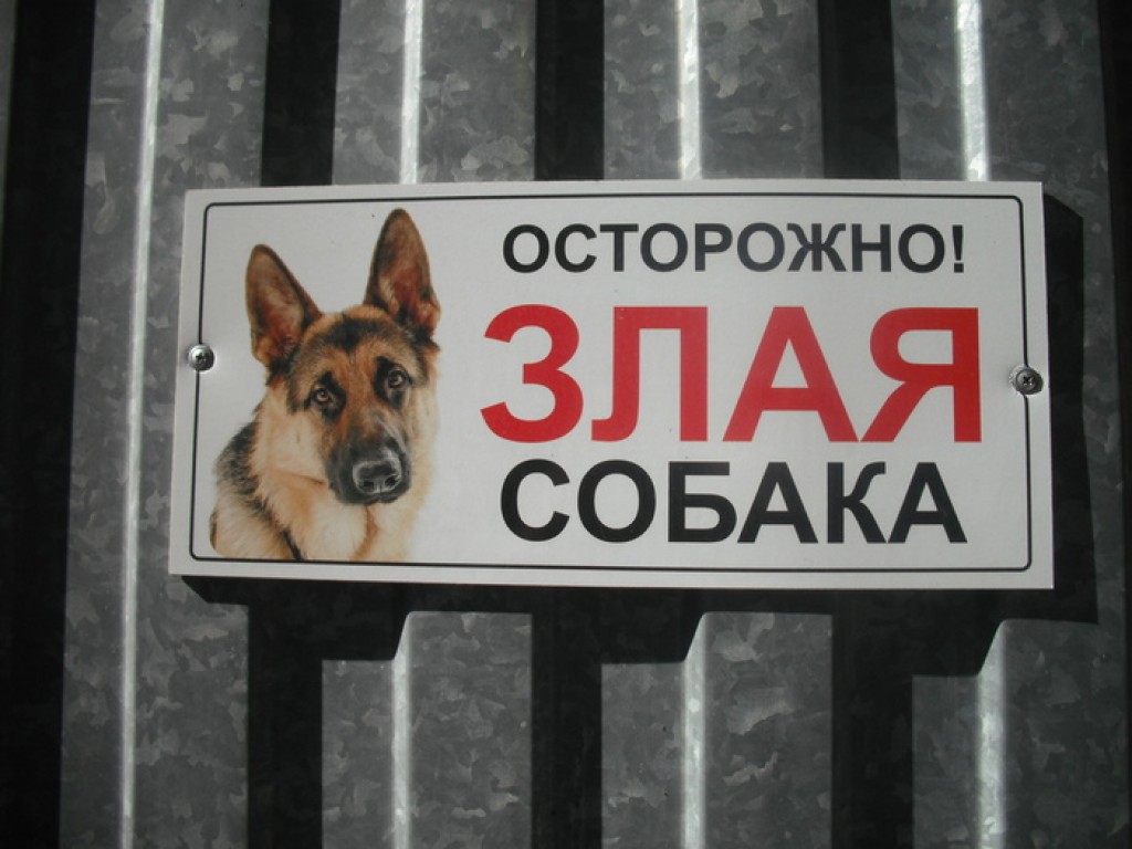 «Мы пытались подружиться»: в Темиртау мать школьницы, которую покусала собака, требует ликвидировать животное