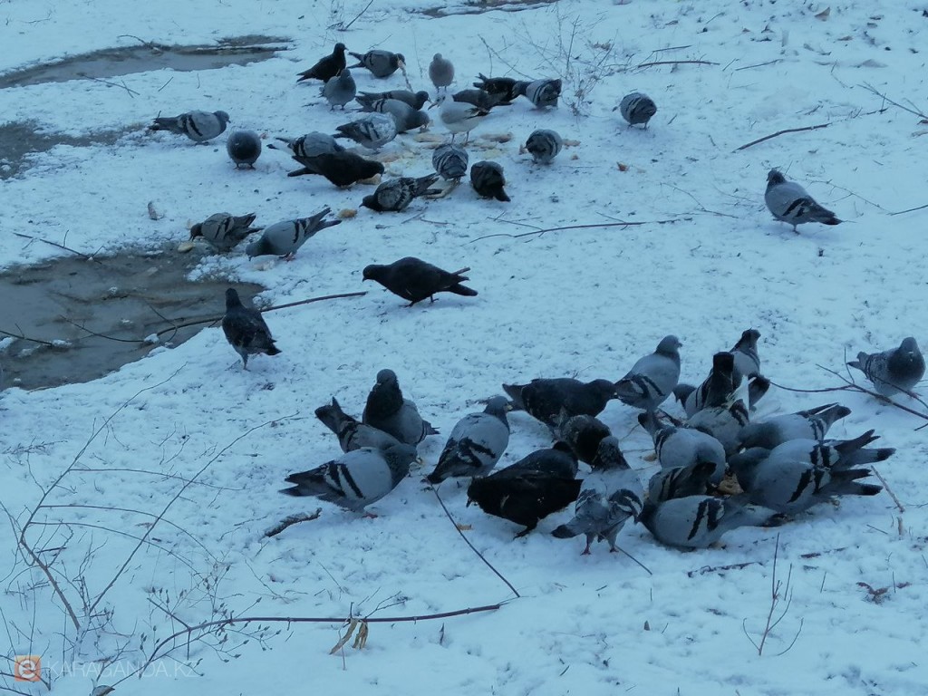 От -10°C до +20°C пообещали казахстанцам на выходные