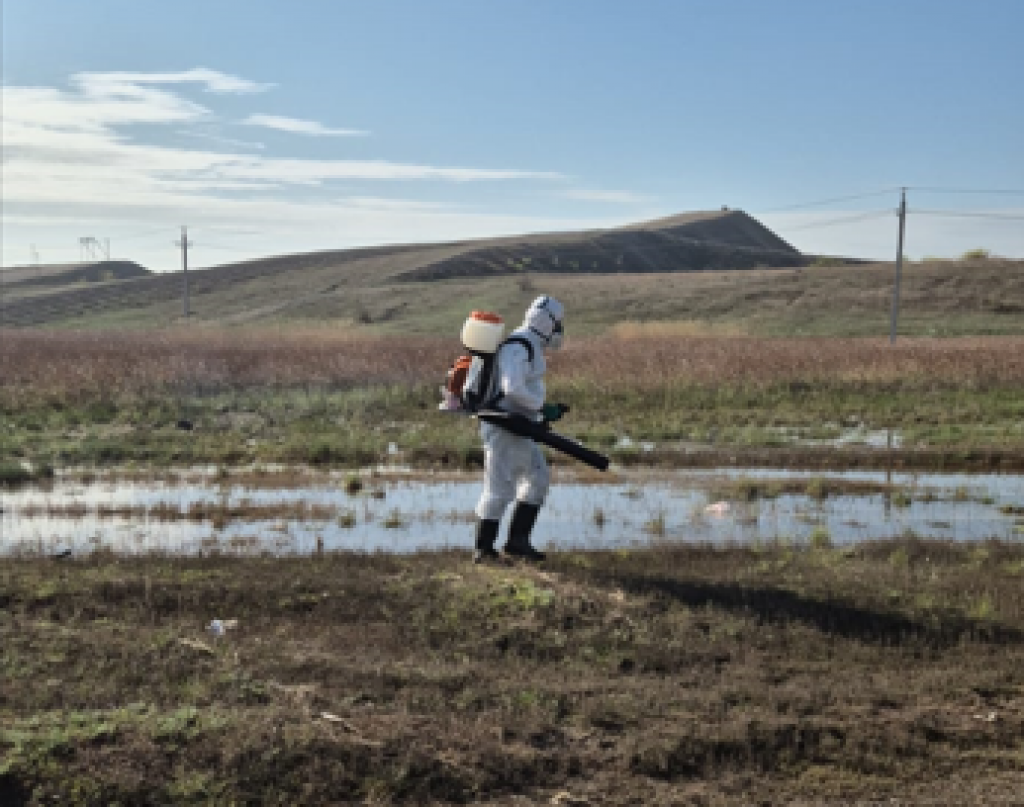 Қарағандының тағы бір ауданы масалардан өңделеді