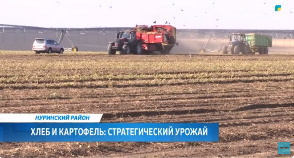 В Карагандинской области жатва выходит на финишную прямую