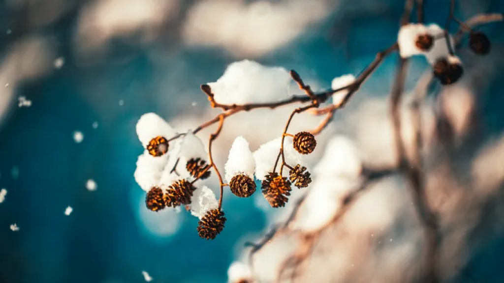 Мокрый снег и похолодание ожидаются в Казахстане