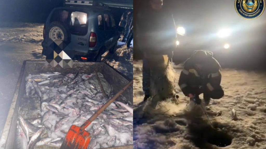 Қарағанды облысында браконьерлерден 1500 метр және 134 кг балық ауланды