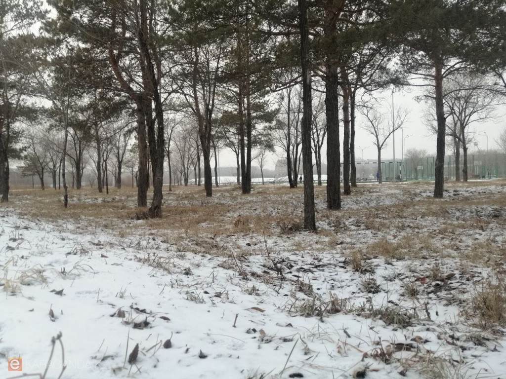 Боран, жаңбыр мен көктайғақ Қазақстанды жауып тұр