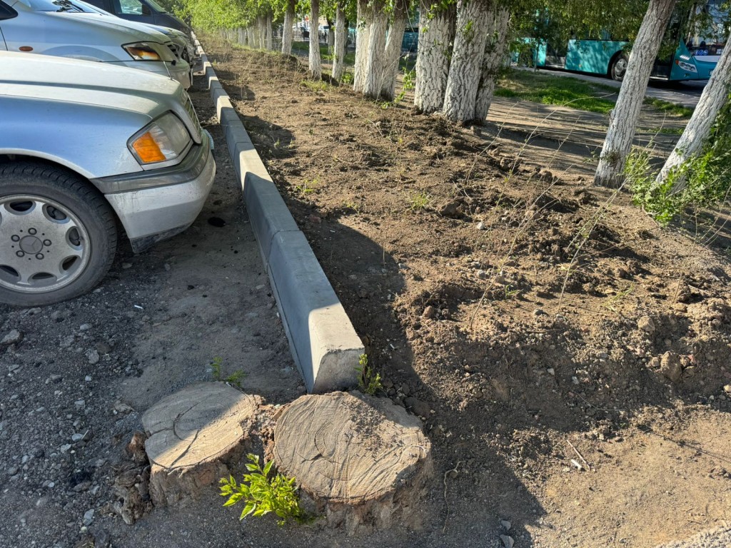 В Караганде на «Шыгысе» вместо вырубленных деревьев появилась парковка