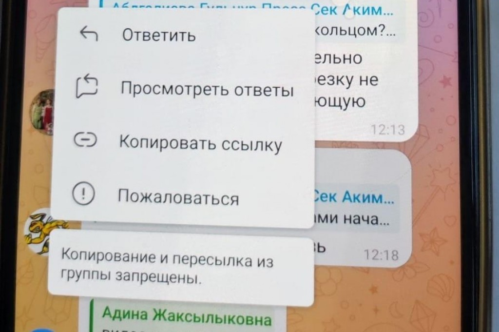 В темиртауском чате для обсуждения проблем города запретили делать скриншоты и копировать сообщения
