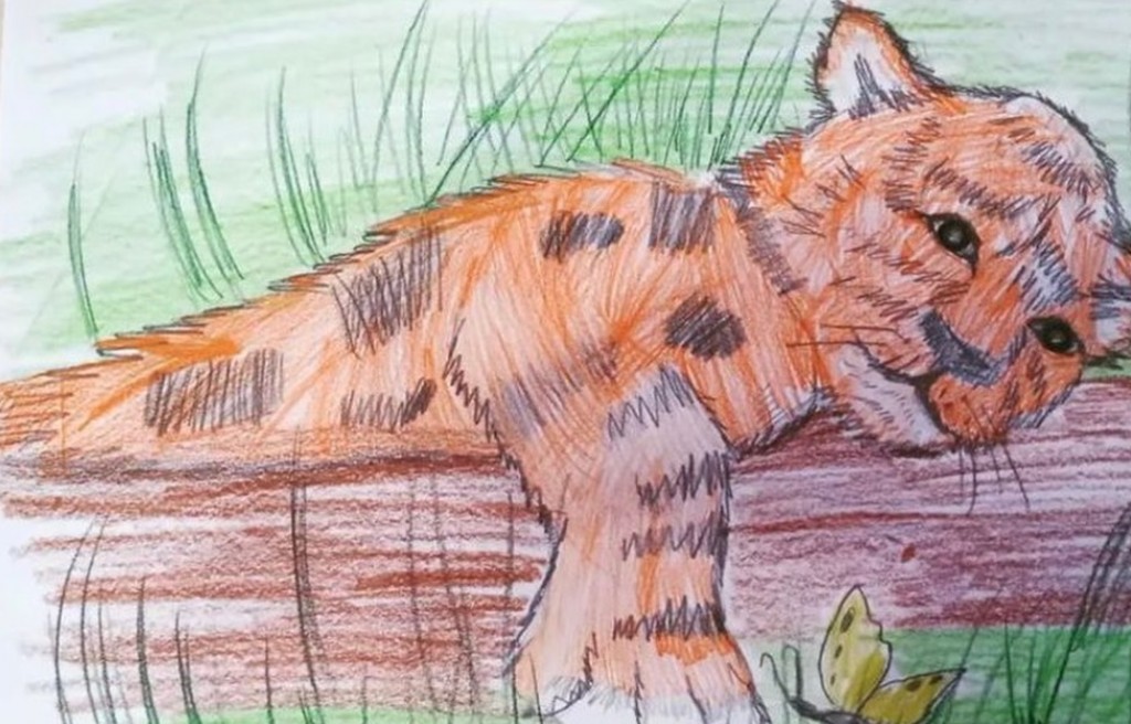 В зоопарке Караганды подвели итоги конкурса рисунков к Международному дню тигра