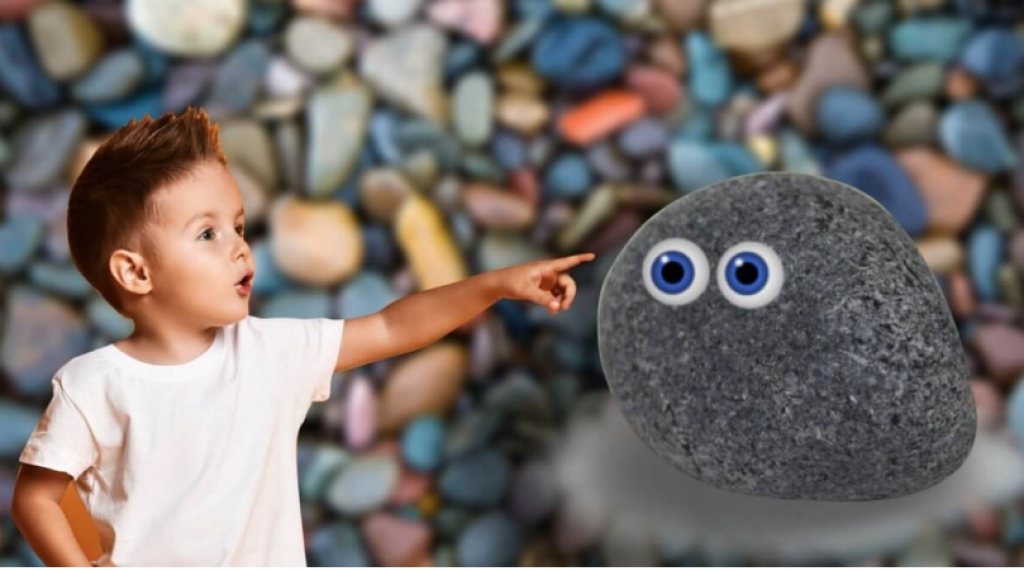 Петрокеры: зачем дети дрессируют булыжники