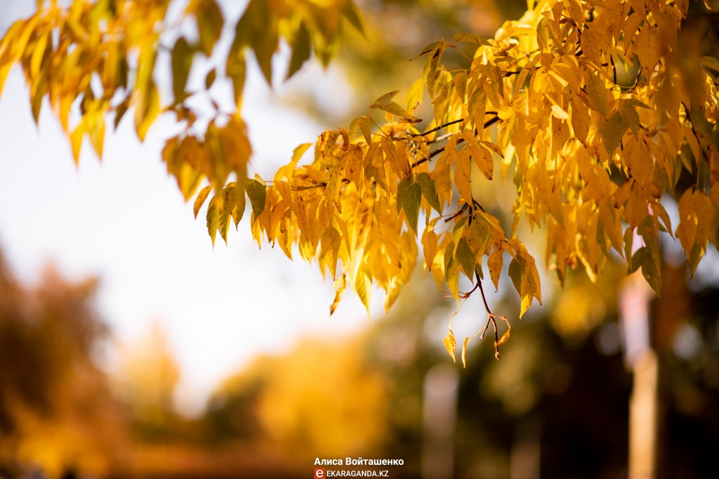 Осень в Караганде. Фоторепортаж