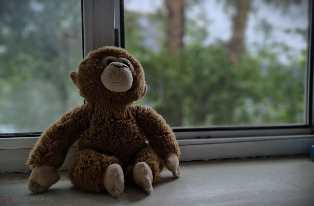 Двухлетний мальчик выпал из окна в поселке Карагандинской области