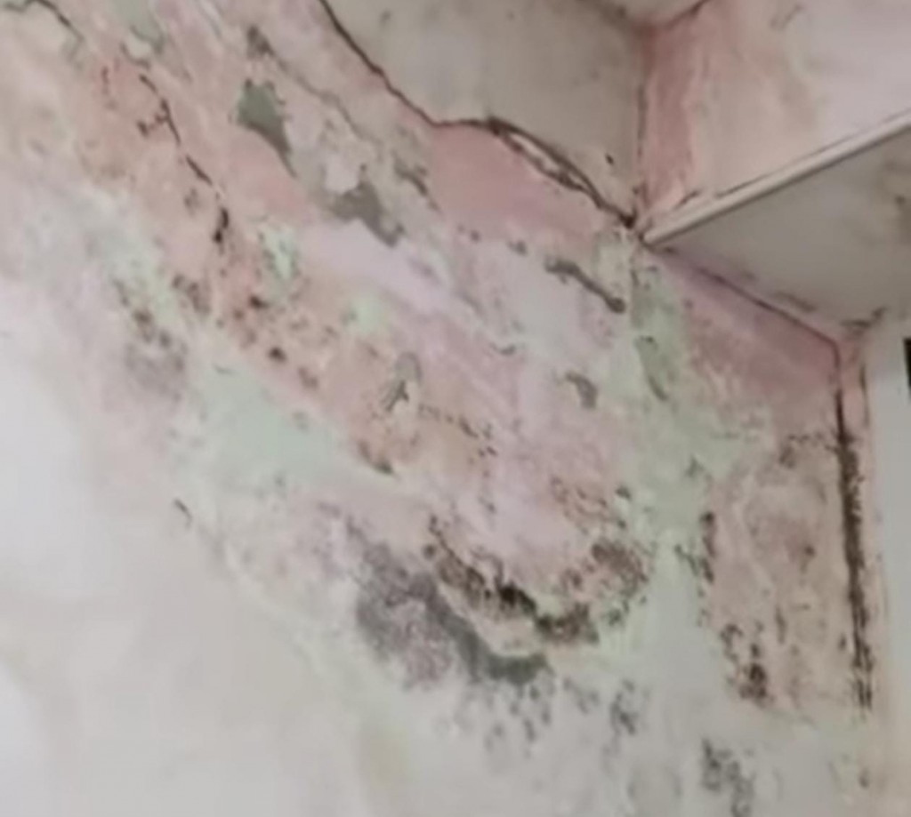 Теміртауда ата-аналар балалар ауруханасындағы зеңге байланысты дабыл қағуда