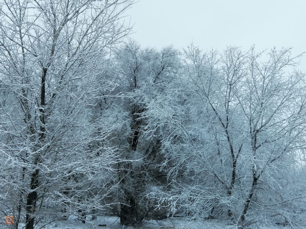 Погода в Караганде и области на 12 марта: снег, ветер и гололёд