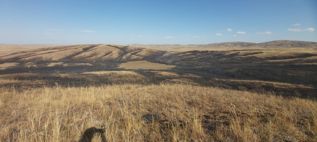 За выходные в Карагандинской области случилось пять степных пожаров